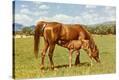 Stretched Canvas Print