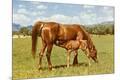 Premium Giclee Print