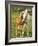 Mare and foal nuzzling. Urakawa, Hokkaido, Japan-Aso Fujita-Framed Photographic Print