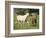 Mare and foal running in field, Urakawa, Hokkaido, Japan-Aso Fujita-Framed Photographic Print