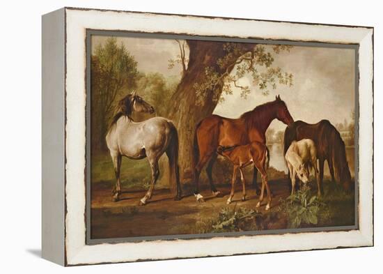 Mare and Foals-George Stubbs-Framed Premier Image Canvas