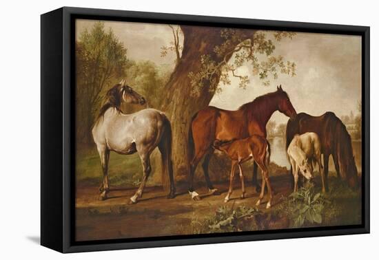 Mare and Foals-George Stubbs-Framed Premier Image Canvas