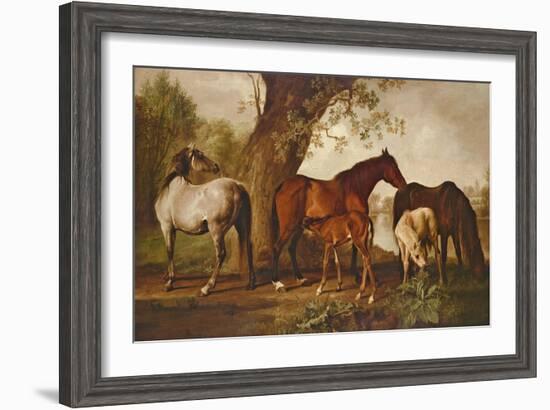 Mare and Foals-George Stubbs-Framed Giclee Print