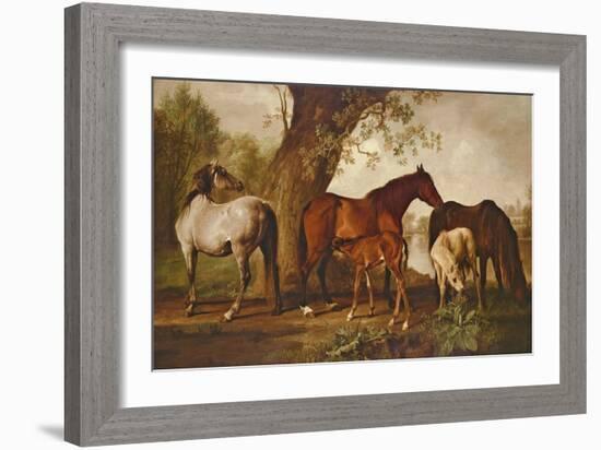 Mare and Foals-George Stubbs-Framed Giclee Print