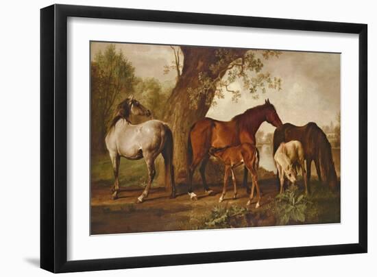 Mare and Foals-George Stubbs-Framed Giclee Print