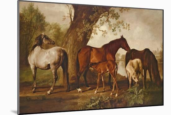 Mare and Foals-George Stubbs-Mounted Giclee Print