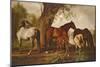 Mare and Foals-George Stubbs-Mounted Giclee Print