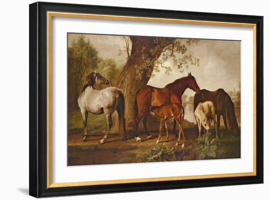 Mare and Foals-George Stubbs-Framed Giclee Print