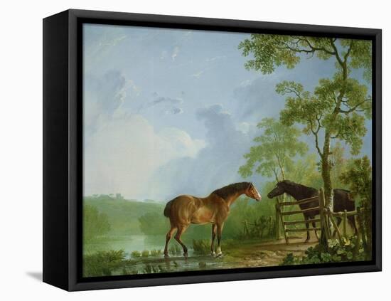 Mare and Stallion in a Landscape-Sawrey Gilpin-Framed Premier Image Canvas