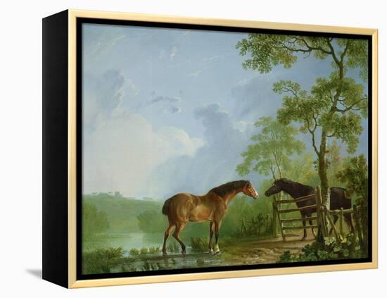 Mare and Stallion in a Landscape-Sawrey Gilpin-Framed Premier Image Canvas