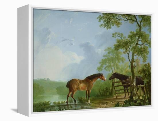 Mare and Stallion in a Landscape-Sawrey Gilpin-Framed Premier Image Canvas