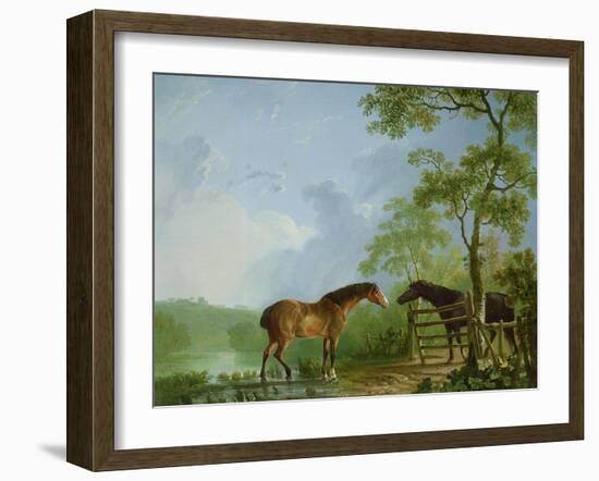 Mare and Stallion in a Landscape-Sawrey Gilpin-Framed Giclee Print