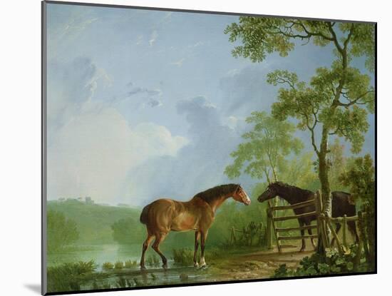 Mare and Stallion in a Landscape-Sawrey Gilpin-Mounted Giclee Print