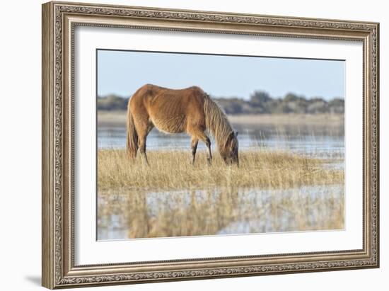 Mare in the Morning-Wink Gaines-Framed Giclee Print