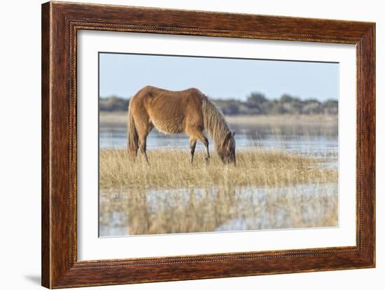 Mare in the Morning-Wink Gaines-Framed Giclee Print