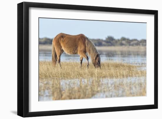 Mare in the Morning-Wink Gaines-Framed Giclee Print