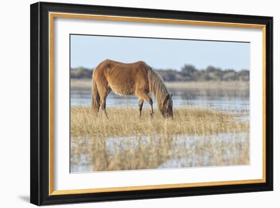 Mare in the Morning-Wink Gaines-Framed Giclee Print