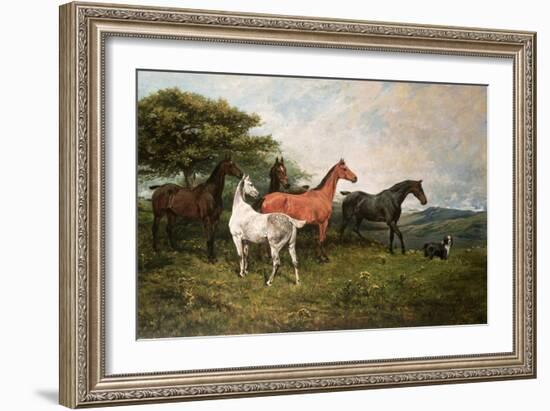 Mares and Foal with a Sheepdog-John Emms-Framed Giclee Print