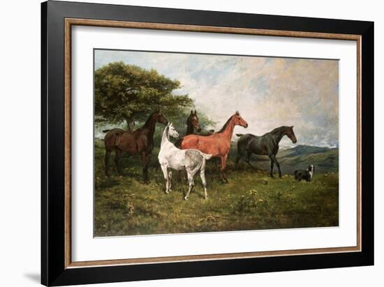 Mares and Foal with a Sheepdog-John Emms-Framed Giclee Print