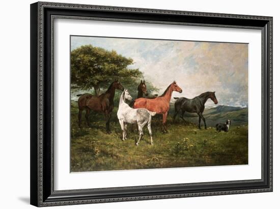 Mares and Foal with a Sheepdog-John Emms-Framed Giclee Print