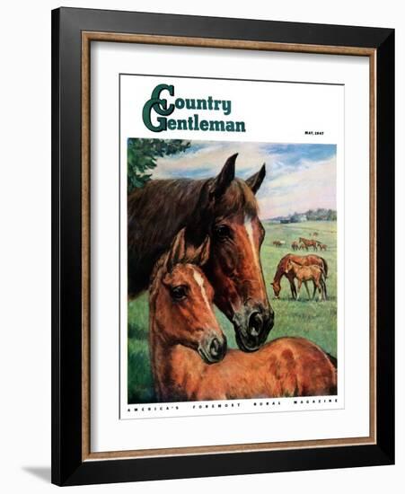 "Mares and Foals," Country Gentleman Cover, May 1, 1947-Francis Chase-Framed Giclee Print