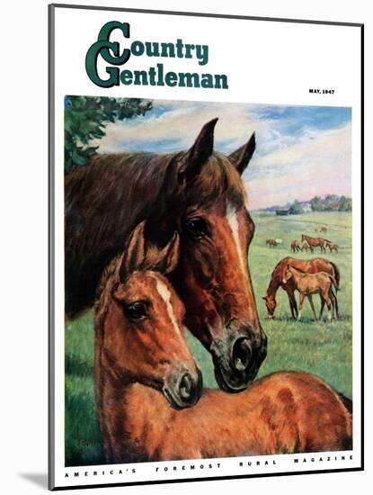 "Mares and Foals," Country Gentleman Cover, May 1, 1947-Francis Chase-Mounted Giclee Print