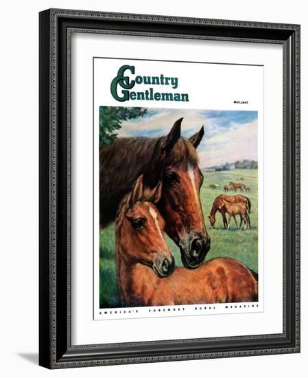 "Mares and Foals," Country Gentleman Cover, May 1, 1947-Francis Chase-Framed Giclee Print