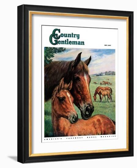 "Mares and Foals," Country Gentleman Cover, May 1, 1947-Francis Chase-Framed Giclee Print