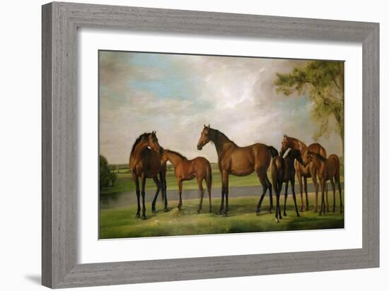 Mares and Foals Disturbed by an Approaching Storm, 1764-66-George Stubbs-Framed Giclee Print