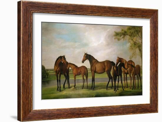 Mares and Foals Disturbed by an Approaching Storm, 1764-66-George Stubbs-Framed Giclee Print