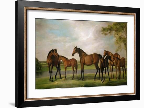 Mares and Foals Disturbed by an Approaching Storm, 1764-66-George Stubbs-Framed Giclee Print