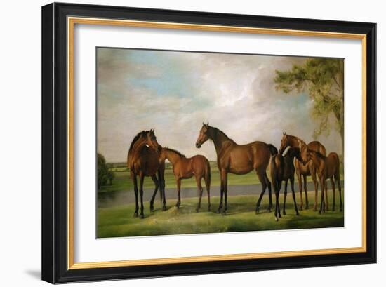 Mares and Foals Disturbed by an Approaching Storm, 1764-66-George Stubbs-Framed Giclee Print