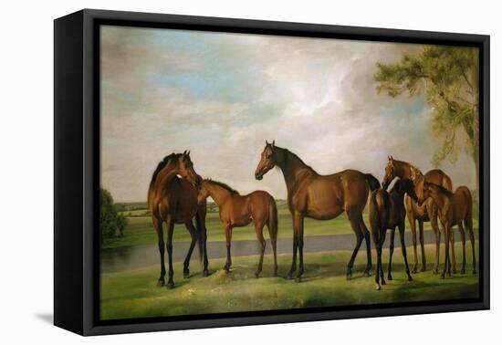 Mares and Foals Disturbed by an Approaching Storm, 1764-66-George Stubbs-Framed Premier Image Canvas