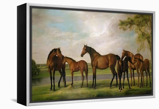 Mares and Foals Disturbed by an Approaching Storm, 1764-66-George Stubbs-Framed Premier Image Canvas