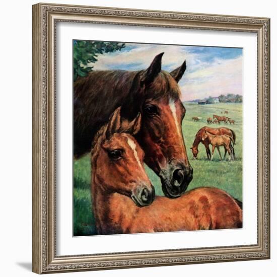 "Mares and Foals,"May 1, 1947-Francis Chase-Framed Giclee Print