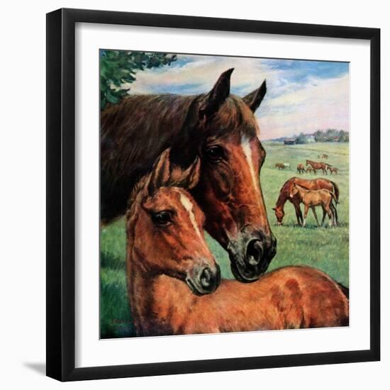 "Mares and Foals,"May 1, 1947-Francis Chase-Framed Giclee Print