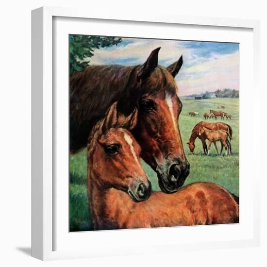 "Mares and Foals,"May 1, 1947-Francis Chase-Framed Giclee Print