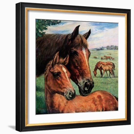 "Mares and Foals,"May 1, 1947-Francis Chase-Framed Giclee Print