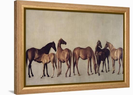 Mares and Foals Without a Background, circa 1762-George Stubbs-Framed Premier Image Canvas