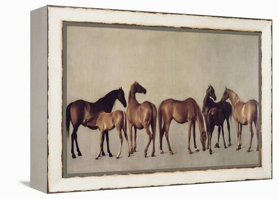 Mares and Foals Without a Background, circa 1762-George Stubbs-Framed Premier Image Canvas