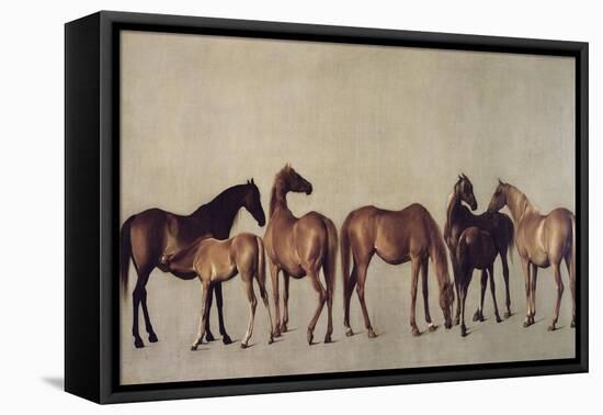 Mares and Foals Without a Background, circa 1762-George Stubbs-Framed Premier Image Canvas