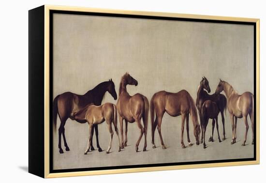 Mares and Foals Without a Background, circa 1762-George Stubbs-Framed Premier Image Canvas