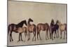Mares and Foals Without a Background, circa 1762-George Stubbs-Mounted Giclee Print