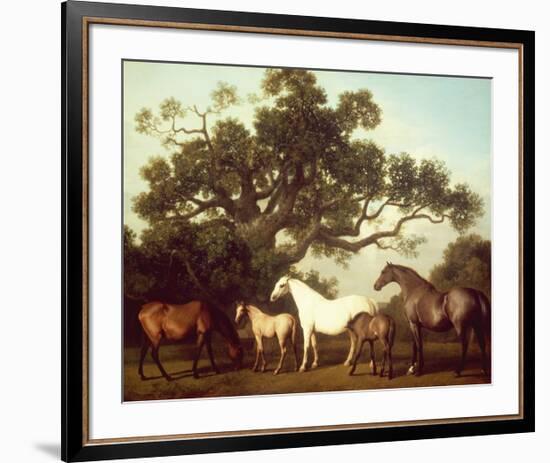 Mares and Foals-George Stubbs-Framed Premium Giclee Print