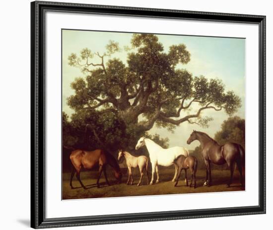 Mares and Foals-George Stubbs-Framed Premium Giclee Print