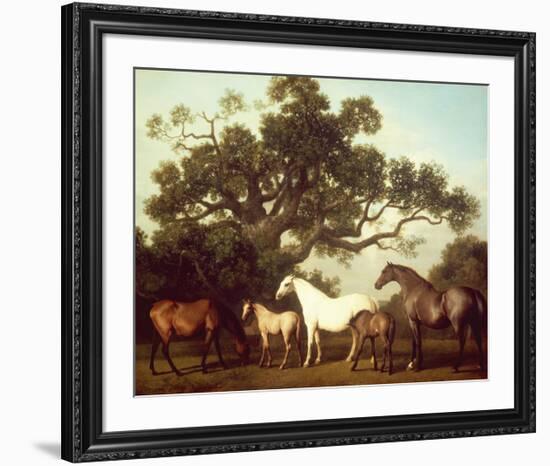 Mares and Foals-George Stubbs-Framed Premium Giclee Print