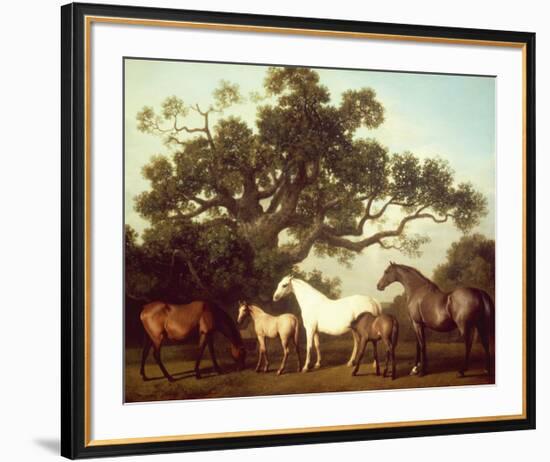 Mares and Foals-George Stubbs-Framed Premium Giclee Print