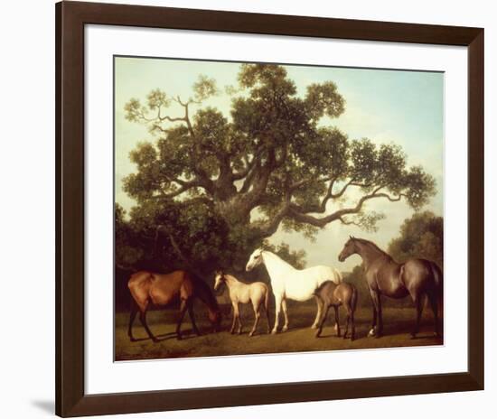 Mares and Foals-George Stubbs-Framed Premium Giclee Print