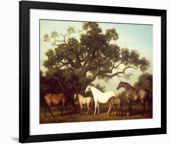 Mares and Foals-George Stubbs-Framed Premium Giclee Print