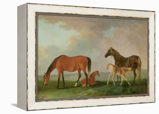 Mares and Foals-Sawrey Gilpin-Framed Premier Image Canvas